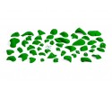 Eco Pack 1 - Leaf-green