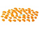 First Line Pack Start 50 - Fluro-orange